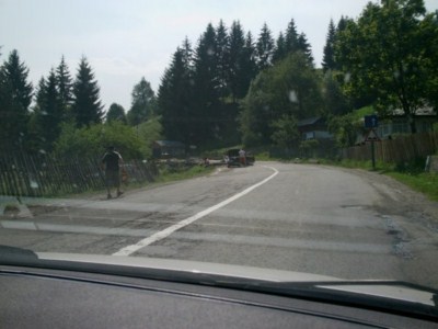 foto 56 • • •