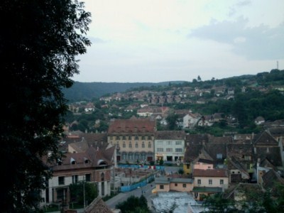 foto 67 • • •