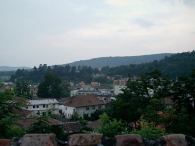 foto 71 • • •