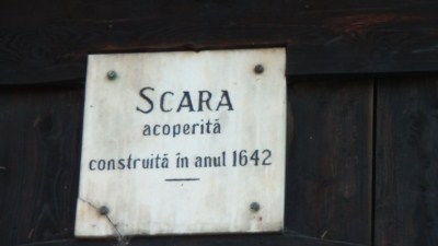 foto 56 • • •