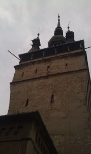 foto 75 • • •