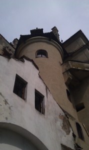 foto 124 • • •