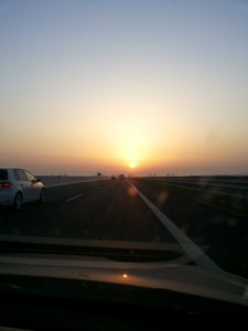 foto 2 • • •