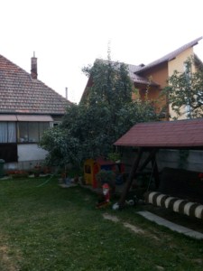 foto 41 • • •