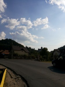 foto 45 • • •