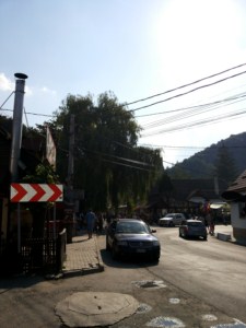 foto 48 • • •