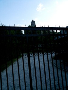 foto 59 • • •