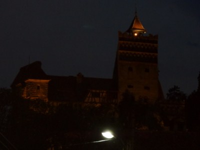 foto 74 • • •