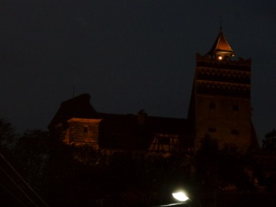 foto 75 • • •