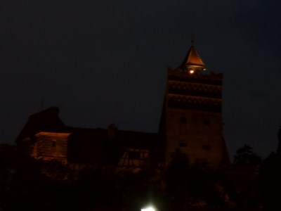 foto 76 • • •