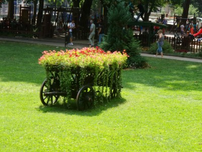 foto 199 • • •