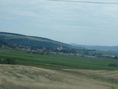 foto 259 • • •