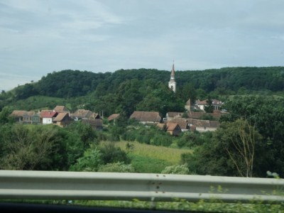 foto 273 • • •