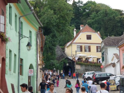 foto 310 • • •