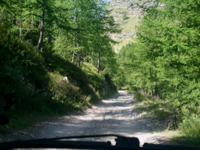 foto 32 • • •