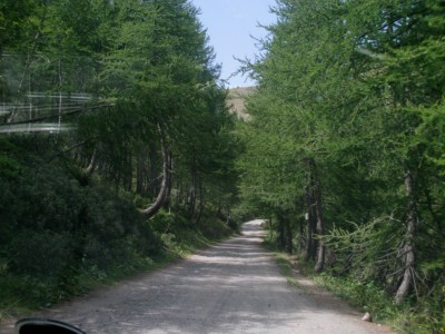 foto 36 • • •