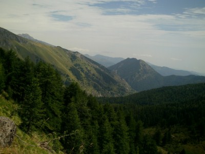 foto 39 • • •