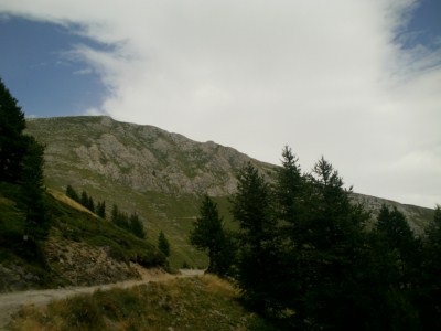 foto 40 • • •