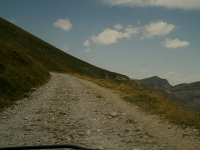 foto 49 • • •
